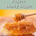 Honeycombs, and honey on a honey dipper