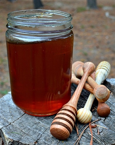 Woodturner Honey Dipper Project