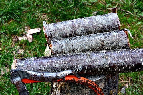 Turned Weed Pot from a tree branch