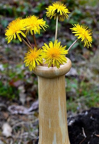 Turned Weed Pot with Dandelions